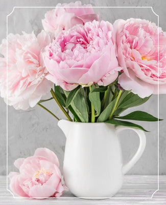 Peonies: The Drama Queens of the Flower World