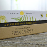 Ceramic Flower Diffuser | Sunshine Plate