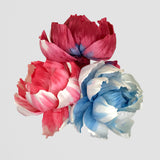 Penny & Rose Oil Tint Set for Floral Diffusers