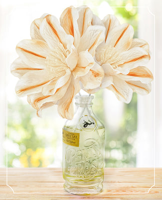 The Enchanted Lily Diffuser