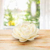 Flower Diffuser