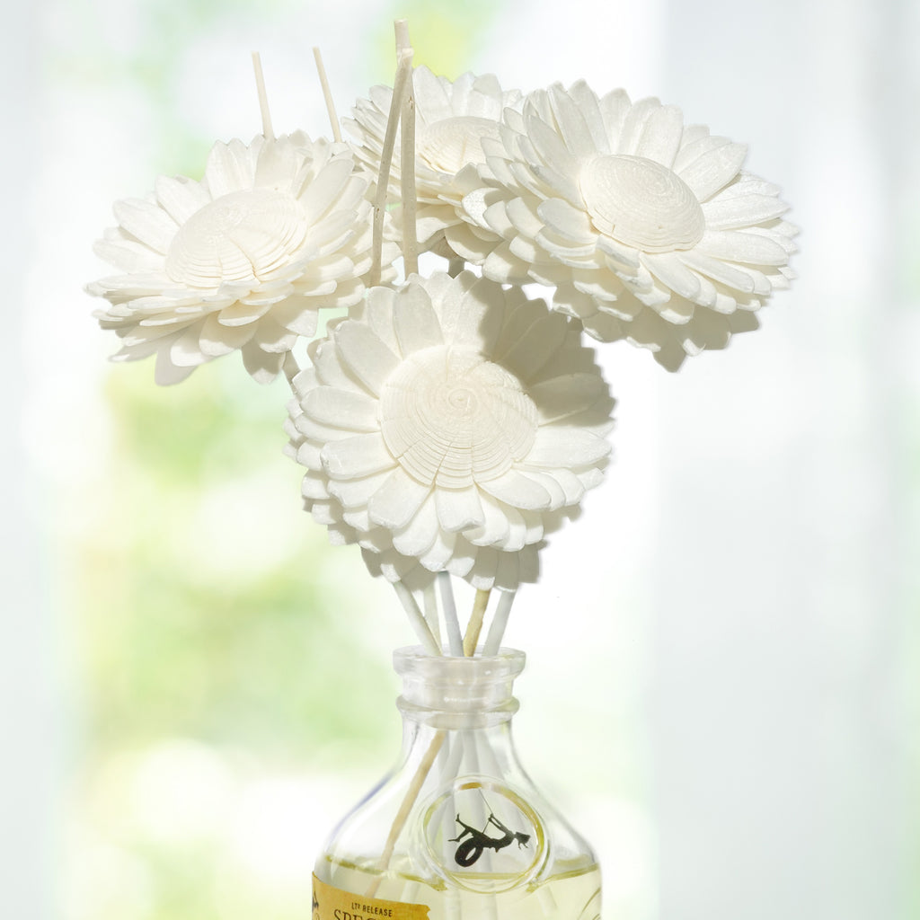 Penny & Rose Home Fragrances | Replacement Daisy Oil Diffusers