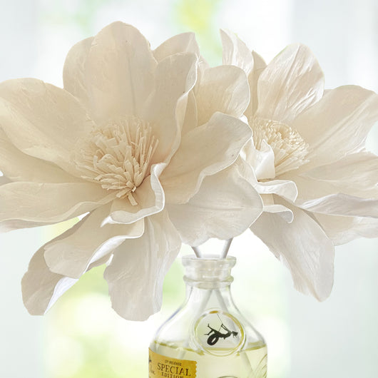 Signature Diffusers | Enchanted Lily